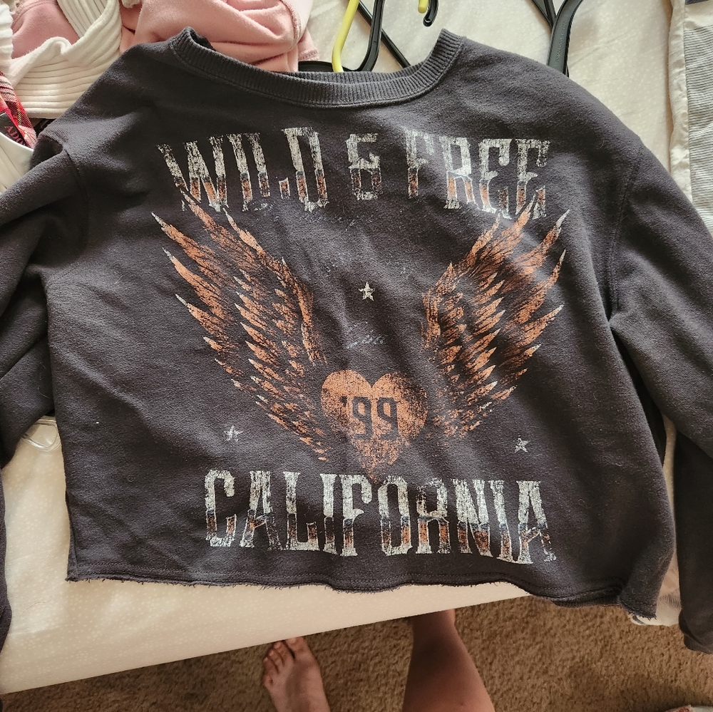 Hollister Cropped Long Sleeve Top